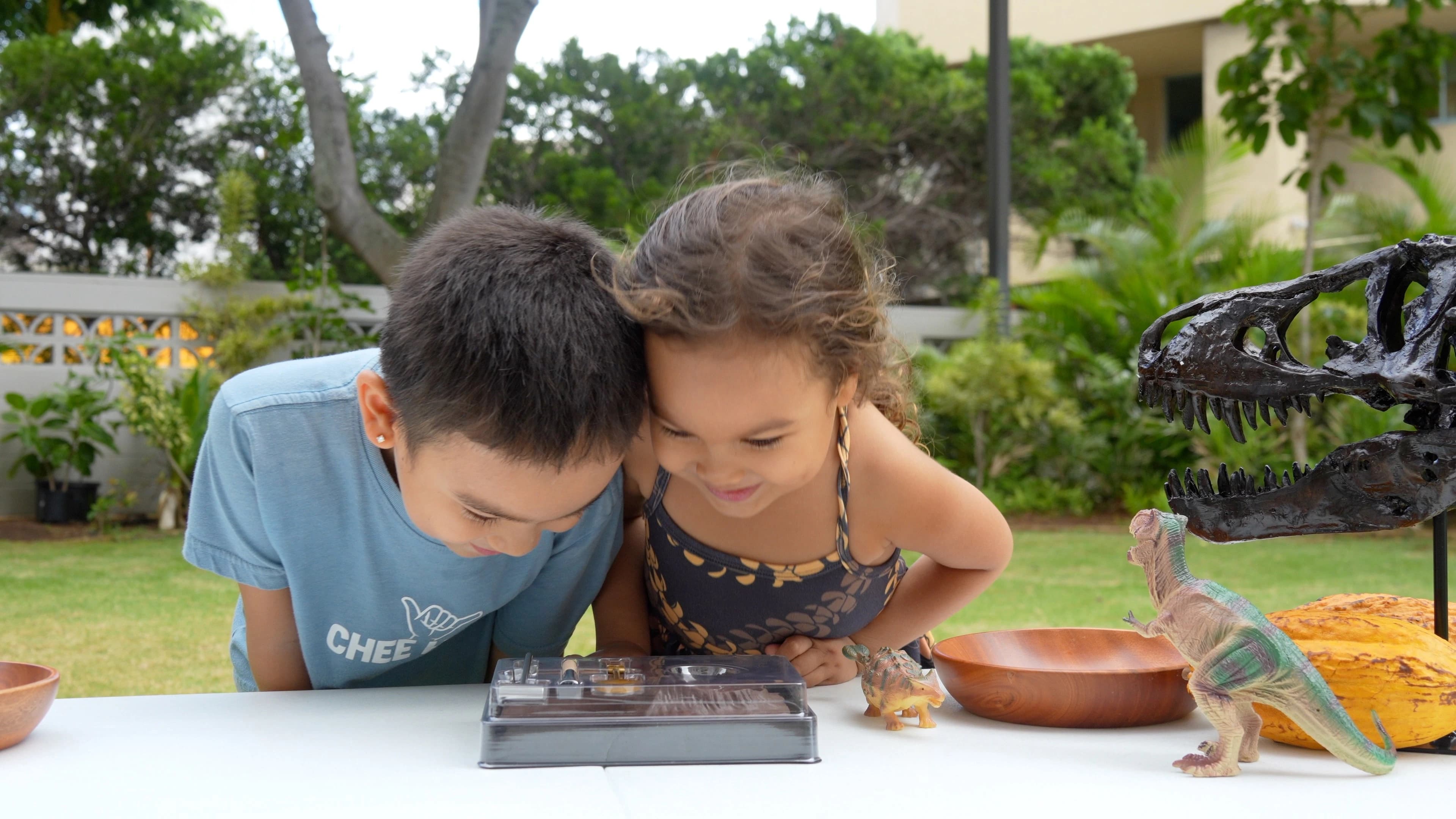 Hawaiian treats background